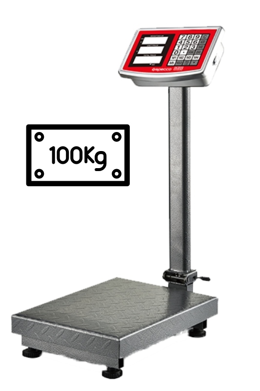 Electronic Platform Scale 100KG